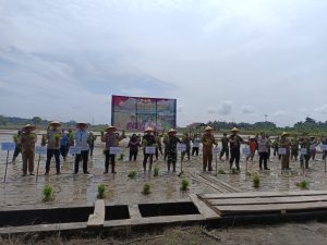 Alhamdulillah hari ini kami bisa menghadiri langsung kegiatan tanam padi serentak yang dilaksanakan oleh 0419/Tanjung Jabung di Desa Sri Agung Kecamatan Batang Asam. Semoga upaya yang dilakukan oleh KODIM 0419/Tanjung Jabung ini menjadi pemicu semangat bagi kita semua untuk mendukung ketahanan pangan nasional melalui berbagai upaya, salah satunya memastikan pelaksanaan program ini berjalan dengan baik di lapangan. Pemerintah Daerah Kabupaten Tanjung Jabung Barat akan terus mendukung penuh upaya petani melalui berbagai program dan bantuan. Terlebih dengan adanya Instruksi Presiden Republik Indonesia nomor 2 tahun 2025 tentang Percepatan Pembangunan, Peningkatan, Rehabilitasi, serta Operasi dan Pemeliharaan Jaringan Irigasi untuk Mendukung Swasembada Pangan. Kebijakan yang dilakukan pemerintah pusat untuk tidak mengimpor beras pada tahun 2025 merupakan komitmen dan keseriusan pemerintah pusat dalam mendukung pencapaian kemandirian bangsa melalui swasembada pangan. Selain itu, salah satu kebijakan utama yang disampaikan presiden prabowo adalah penetapan harga gabah kering panen (GKP) sebesar Rp.6.500 per kilogram. Menurut presiden, langkah ini bertujuan meningkatkan kesejahteraan petani dan menjaga stabilitas ekonomi dalam rantai distribusi pangan. Kedua kebijakan ini tentunya akan berdampak besar pada sektor pertanian dan perekonomian. Langkah ini bertujuan untuk mendorong swasembada beras dan meningkatkan kesejahteraan petani. Semoga dengan dilaksanakannya gerakan tanam padi serentak ini, diharapkan bisa memicu semangat kita semua (baik itu pemerintah, stakeholder, akademisi, peneliti, tokoh masyarakat, lembaga swadaya masyarakat penyuluh pertanian lapangan maupun petani) untuk untuk membangun pertanian di Kabupaten Tanjung Jabung Barat yang lebih baik lagi. Kita berharap, kedepannya kabupaten kita mampu mencapai swasembada pangan. 